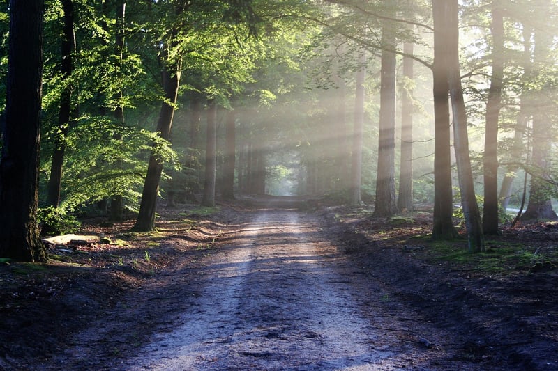 Wilderness